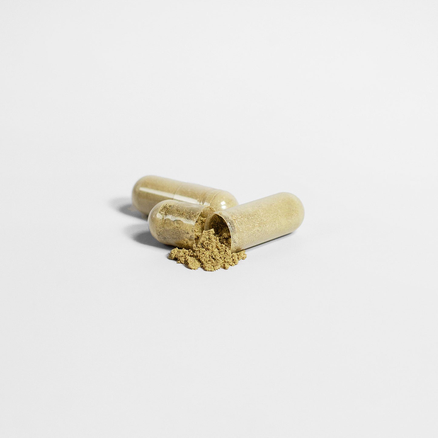 Moringa Extract: The Most Nutrient Dense Plant on the Planet