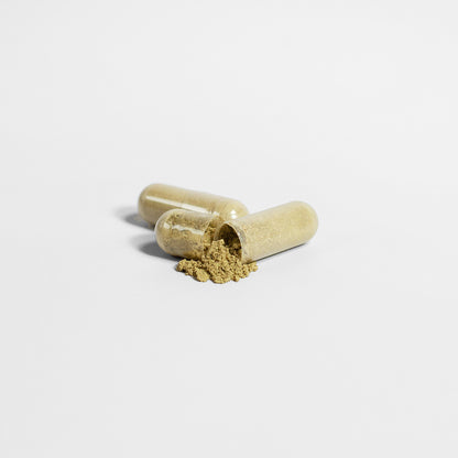 Moringa Extract: The Most Nutrient Dense Plant on the Planet