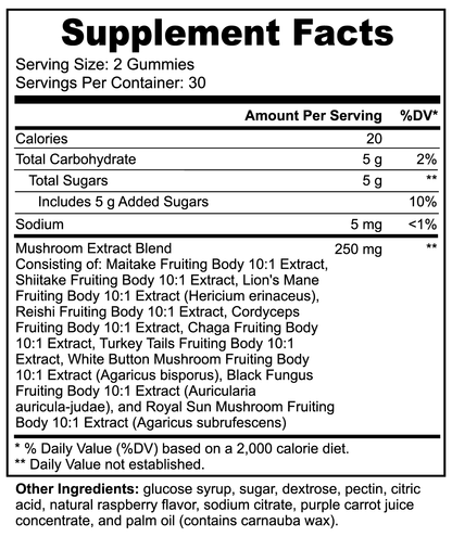 Playdate With Einstein-Mushroom Extract Brain Gummies